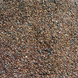 Graines d'Eucalyptus leucoxylon rosea par Semences du Puy