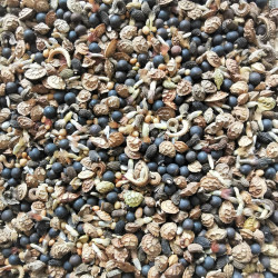 Mélange des graines mellifère mixte  : fleurs et fourragères - Semences du Puy