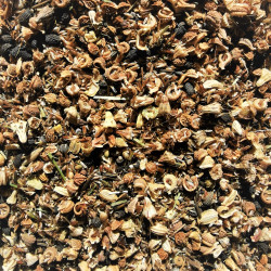 Mélange de graines de fleurs sauvages pour bonnes terres franches - Semences du Puy