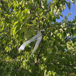 Visual repuls - Affolant visuel pour oiseaux Nortene® par Semences du Puy