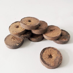 Pastille de germination par Semences du Puy