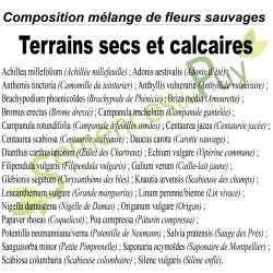 Composition 100% graines de fleurs sauvages du mélange Terrains secs et calcaires - Semences du Puy