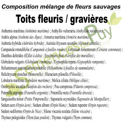 Composition 100% de fleurs sauvages du mélange pour toit fleuris ou gravières - Semences du Puy