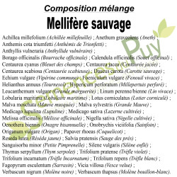 Composition 100% graines du mélange mellifère sauvage - Semences du Puy