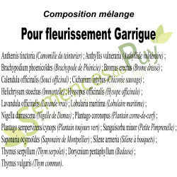 Composition 100% graines du mélange pour fleurissement Garrigue - Semences du Puy