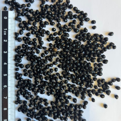 Graines de Zanthoxylum clava herculis par Semences du Puy