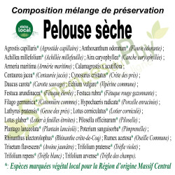 Composition du mélange de préservation Végétal local Massif Central type pelouse sèche - Semences du Puy