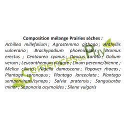 Composition mélange prairie sèche