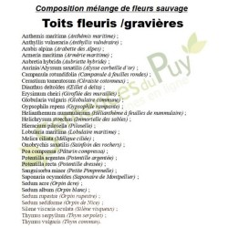 Composition 100% de fleurs sauvages du mélange pour toit fleuris ou gravières - Semences du Puy